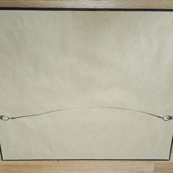 Dale Earnhardt Jr framed matted 17x20 - Picture 3 of 3